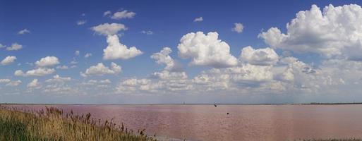 paisaje con lago salado rosa en evpatoria. foto