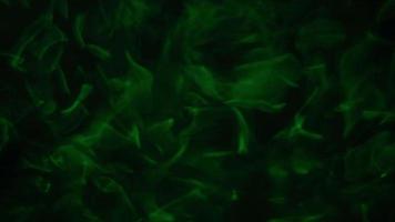 Blurry underwater footage. Color light on floor surface below the water ripple or wave. video