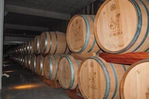 bento goncalves, brasil - 11 de julio de 2019. pila de barriles de madera para almacenamiento y envejecimiento del vino en una bodega de la bodega aurora en bento goncalves. una ciudad amigable en el campo famosa por su producción de vino foto