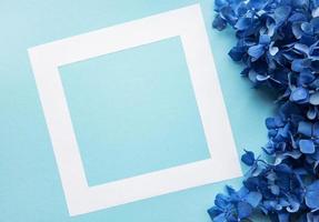 marco blanco y flores de hortensia azul foto