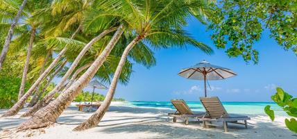 Tropical beach nature as summer landscape with lounge chairs and palm trees and calm sea for beach banner. Luxurious travel landscape, beautiful destination for vacation or holiday. Seaside photo
