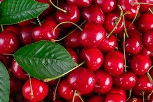 Fresh delicious cherries of fresh harvest photo