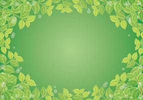 bright green leaf background, vector