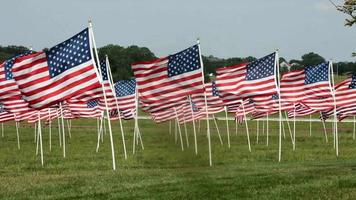 Muchas banderas de EE. UU. revolotearon fondo país nación estado patriótico banner memorial estados unidos estados unidos, california, capitolio, concepto
