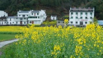 The  beautiful and old traditional Chinese village view with the mountains around it located in the countryside of the southern China photo