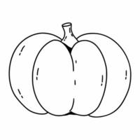 dibujo de calabaza en estilo doodle. libro de colorear con verduras para niños. ilustración vectorial lineal. vector