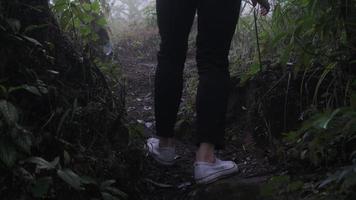 grupo de turistas asiáticos mochileros a través de bosques y montañas para ver la naturaleza al aire libre. video