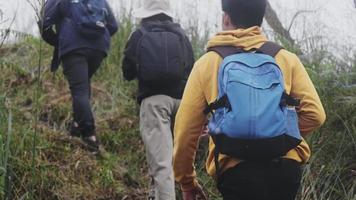 grupp asiatiska turister som backpackar genom skogar och berg för att se naturen utomhus. vandring och spåraktivitet i vilda livskoncept. video