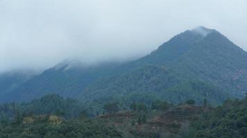 The beautiful mountains view with the green forest and flowers field in the countryside of the southern China photo