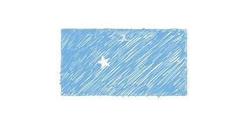Micronesia Flag Marker or Pencil Sketch Animation Video
