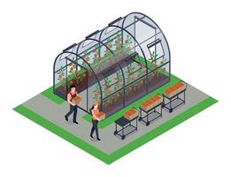 Greenhouse Isometric Element vector