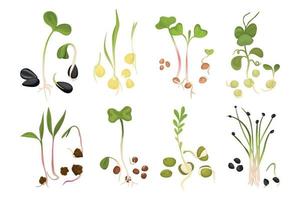 Microgreen Growing Seed Icon Set vector
