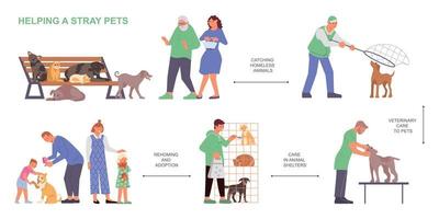 Helping Stray Pets Flowchart vector