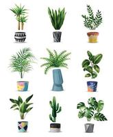 conjunto de iconos de plantas caseras vector