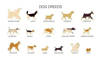 conjunto de razas de perros vector