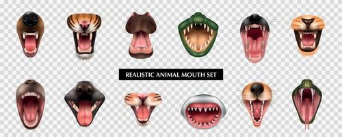 conjunto de bocas de animales realistas vector