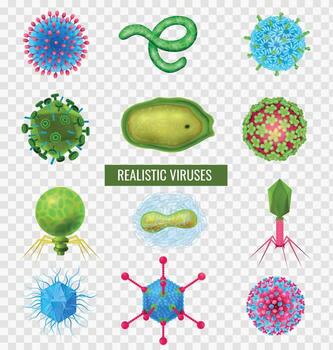 Viruses Realistic Transparent Set vector