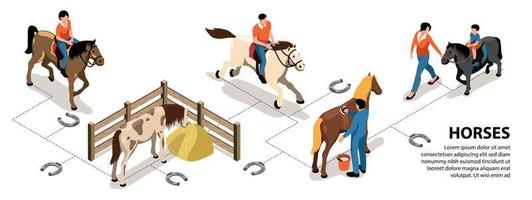 Horses Infographics Layout vector