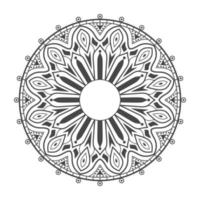 Mandala background in ethnic style vector