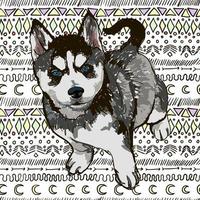 Colorful vector Illustration of the dog breed Husky isolated on white background