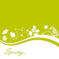 Abstract Natural Spring Background with Flowers and Leaves. Vect vector