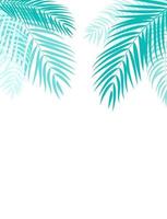 Beautifil Palm Tree Leaf  Silhouette Background Vector Illustration