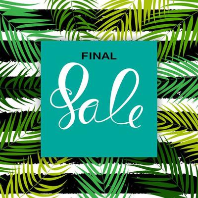 Abstract Designs Final Sale Banner Template with Frame. Vector Illustration