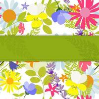 Abstract Natural Spring Background with Flowers and Leaves. Vect vector