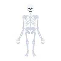 Skeleton Vector Icon