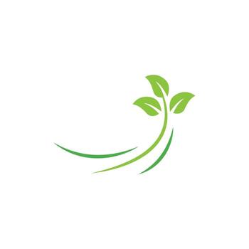 plantilla de diseño de logotipo de hoja de árbol vector
