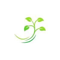 plantilla de diseño de logotipo de hoja de árbol vector