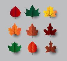 conjunto de vectores de hojas de arce. otoño