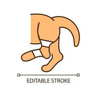Pet sprain RGB color icon. Animal with hurt limb. Hips and thighs strains. Joints and bones injury. Ligament stretching. Isolated vector illustration. Simple filled line drawing. Editable stroke