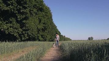 vrouw traint franse bulldog. video