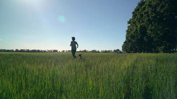 vrouwen lopen met franse bulldog. video