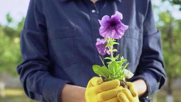 vrouwtje met plant zonder gezicht. video