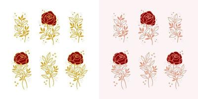 conjunto de elementos de logotipo femenino de peonía vintage, flor rosa y rama de hoja floral dibujados a mano vector