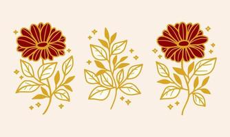 conjunto de elementos de logotipo femenino y de belleza de flor de margarita de gerbera vintage dibujados a mano vector