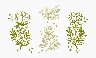 Conjunto de elementos florales y vegetales lineales vintage dibujados a mano para logotipo o decoración vector