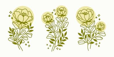 Conjunto de elementos florales y vegetales lineales vintage dibujados a mano para logotipo o decoración vector