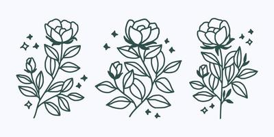 Conjunto de elementos florales y vegetales lineales vintage dibujados a mano para logotipo o decoración vector