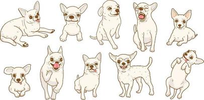 Cartoon chihuahua dog illustration set vector