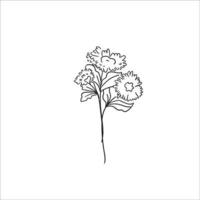 black and white flower vector