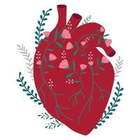 Anatomical hand drawn heart with flowers vector