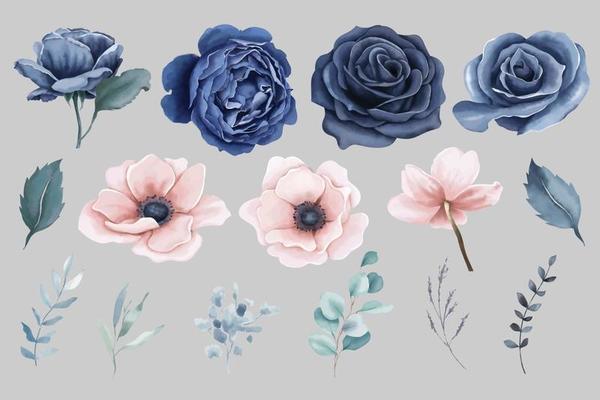 Watercolor navy blue roses and peach anemones flowers elements