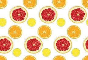 Orange slice pattern image vector