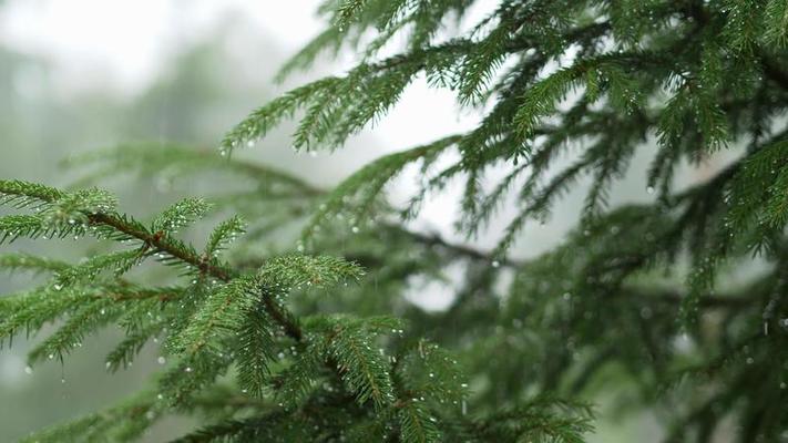 降雨影片