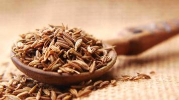 cumin seeds on spoon on table , close up video