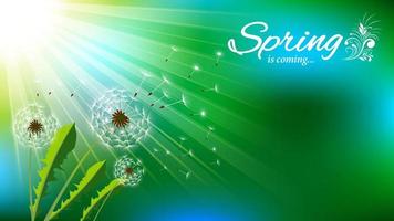 Spring Sunlight dandelions bokeh background vector