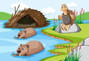 Forest scene with beavers living in dam and a tortoise vector